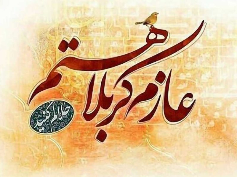 موکب بهداشتی